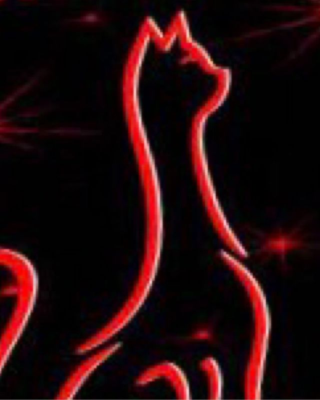 Our red neon cat sign