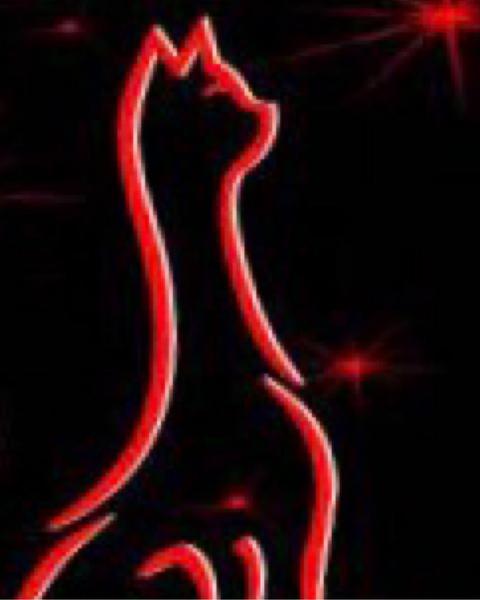 Our red neon cat sign